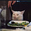 Furget